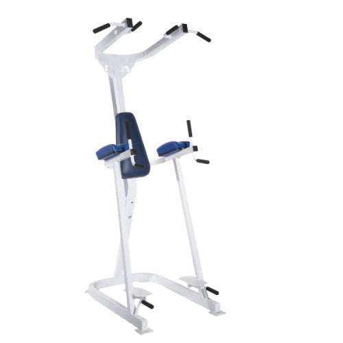 Promaxima Vertical Knee Raise w/ Pullup - Buy & Sell Fitness