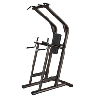 Life Fitness Signature Series Chin/Dip/Leg Raise - Buy & Sell Fitness
