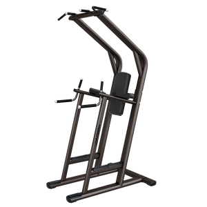 Life Fitness Signature Series Chin/Dip/Leg Raise - Buy & Sell Fitness