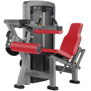 Life Fitness Insignia Series Seated Leg Curl - Buy & Sell Fitness