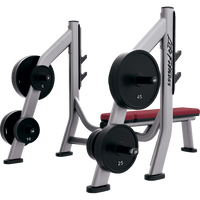 Life Fitness Signature Series Olympic Bench Weight Storage - Buy & Sell Fitness
