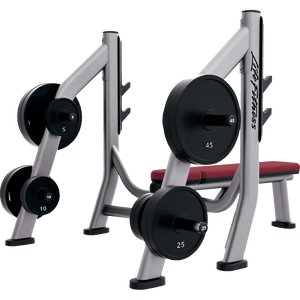 Life Fitness Signature Series Olympic Bench Weight Storage - Buy & Sell Fitness