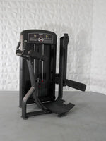 MDF Elite Series Glute - Buy & Sell Fitness
