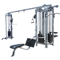 Promaxima Jungle Gym CM-705 2-Tower 5-Weight Stacks - Buy & Sell Fitness