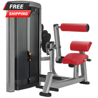 Life Fitness Insignia Series Back Extension - Buy & Sell Fitness
