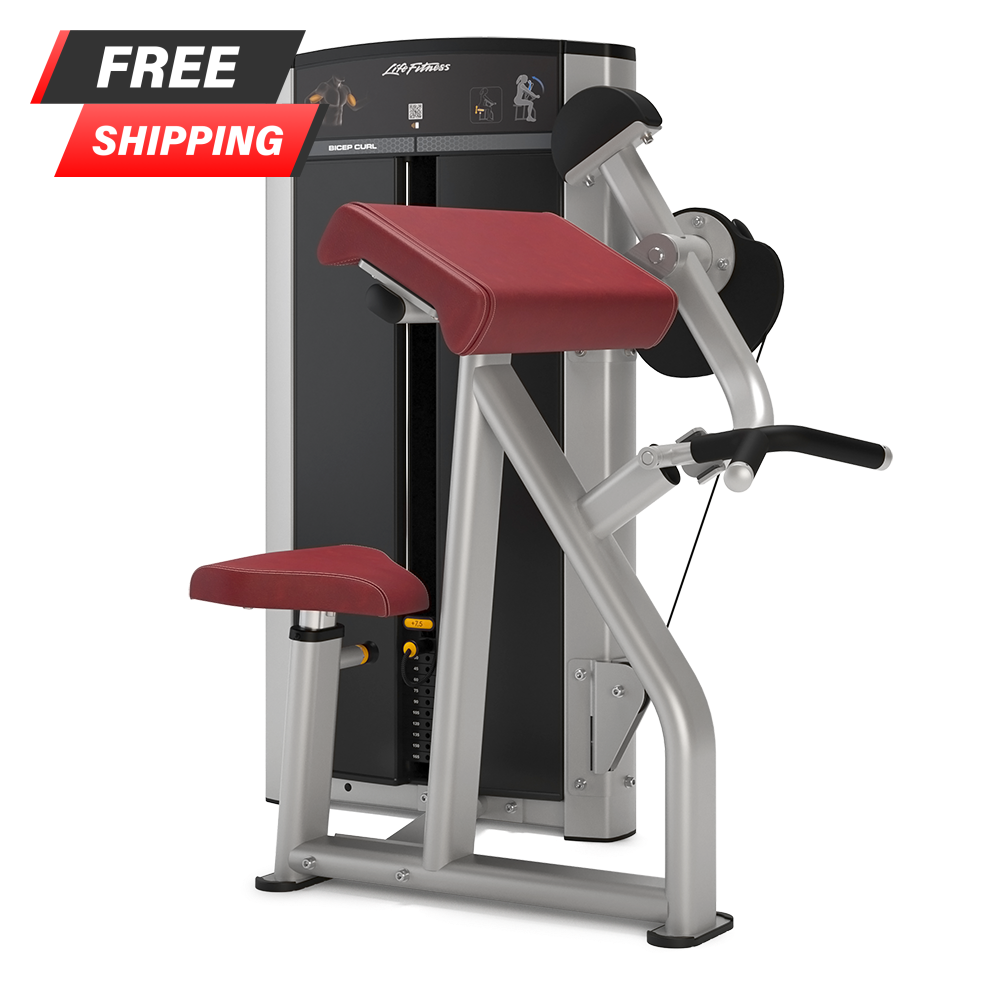 Life Fitness Axiom series Biceps Curl - Buy & Sell Fitness