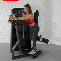 MDF Elite Series Glute - Buy & Sell Fitness