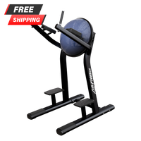 Life Fitness Signature Series Leg Raise - Buy & Sell Fitness
