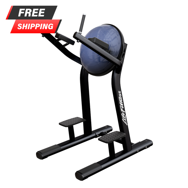 Life Fitness Signature Series Leg Raise - Buy & Sell Fitness