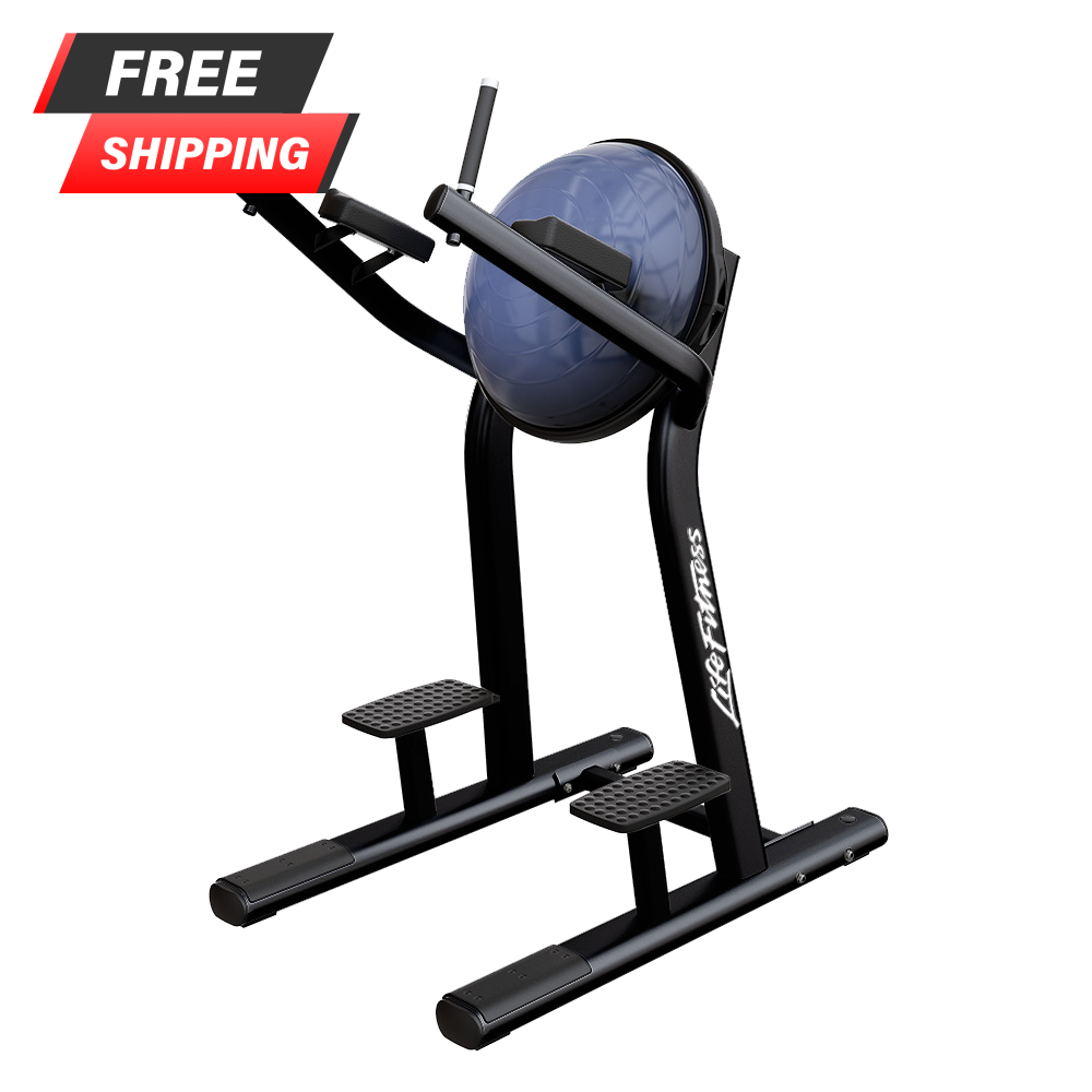 Life Fitness Signature Series Leg Raise - Buy & Sell Fitness