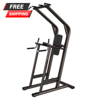 Life Fitness Signature Series Chin/Dip/Leg Raise - Buy & Sell Fitness
