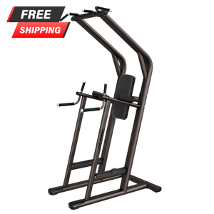 Life Fitness Signature Series Chin/Dip/Leg Raise - Buy & Sell Fitness