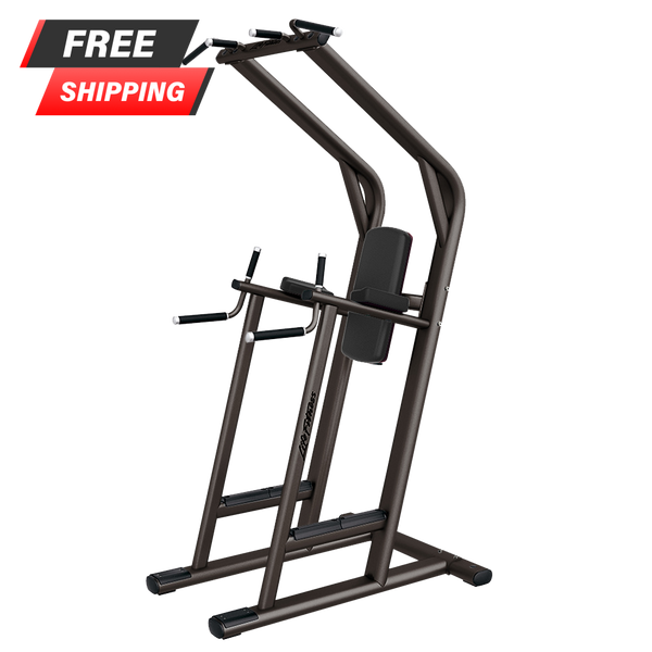 Life Fitness Signature Series Chin/Dip/Leg Raise - Buy & Sell Fitness