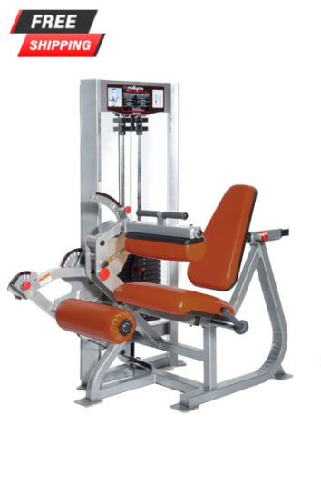 Promaxima Raptor P-5800 Dual Leg Extension/Leg Curl - Buy & Sell Fitness