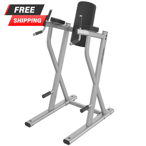 Life Fitness Axiom Series Dip/Leg Raise - Buy & Sell Fitness