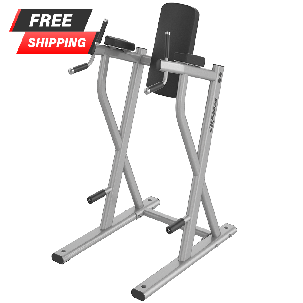 Life Fitness Axiom Series Dip/Leg Raise - Buy & Sell Fitness