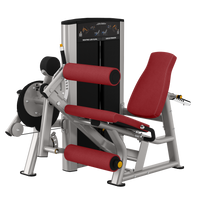 Life Fitness Axiom Leg Extension / Leg Curl Combo - Buy & Sell Fitness