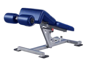 Promaxima Decline Adjustable Ab Bench - Buy & Sell Fitness